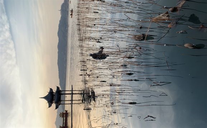 水光瀲滟晴方好，山色空蒙雨亦奇