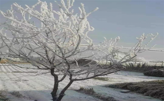 鄉村雪景