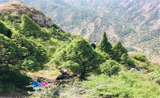 大青山風云