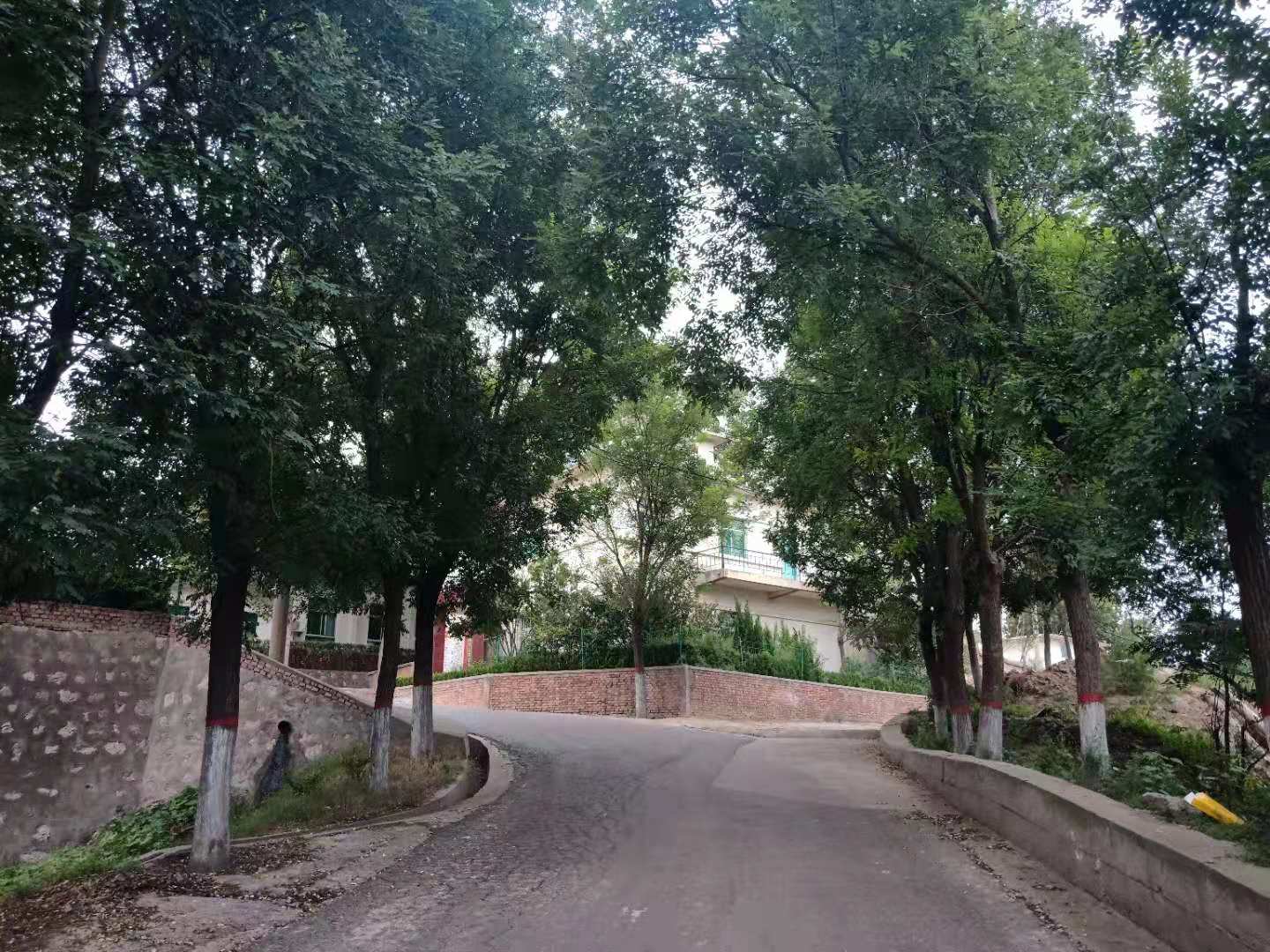 路岔-張福樂
