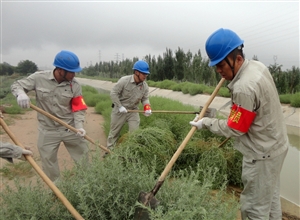 神華寧煤集團煤化工分公司公管處公用設施運行維護中心青年突擊隊義務勞動美化園區