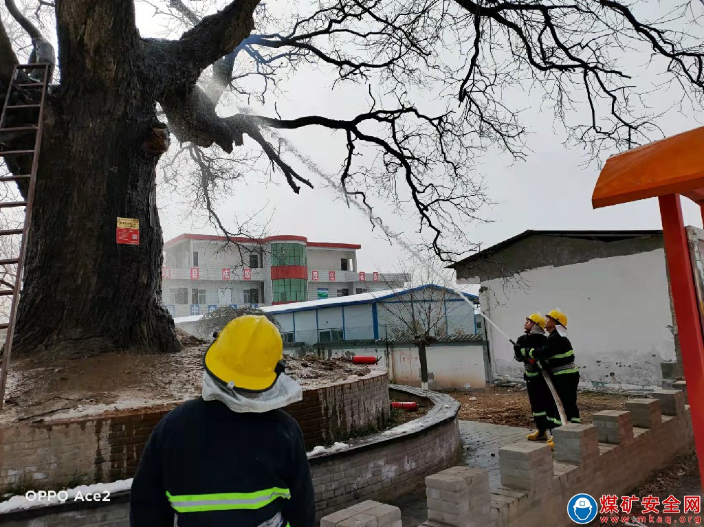 一棵千年大樹突發自燃“蒲白救援”挺身而出