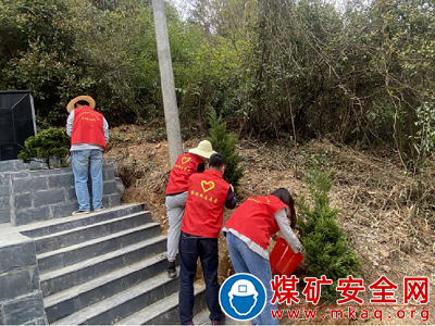 塔坊鎮：“志愿紅”為革命烈士墓增添 “長青柏”