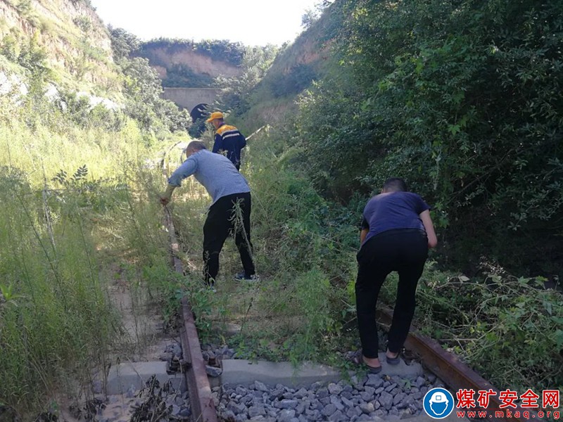 蒲白鐵運公司：加強北線看護力度 保障鐵路資產安全