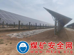 陜煤蒲白熱電公司：熱電公司農光互補  “綠薯”“金麥”“光伏”多元發展