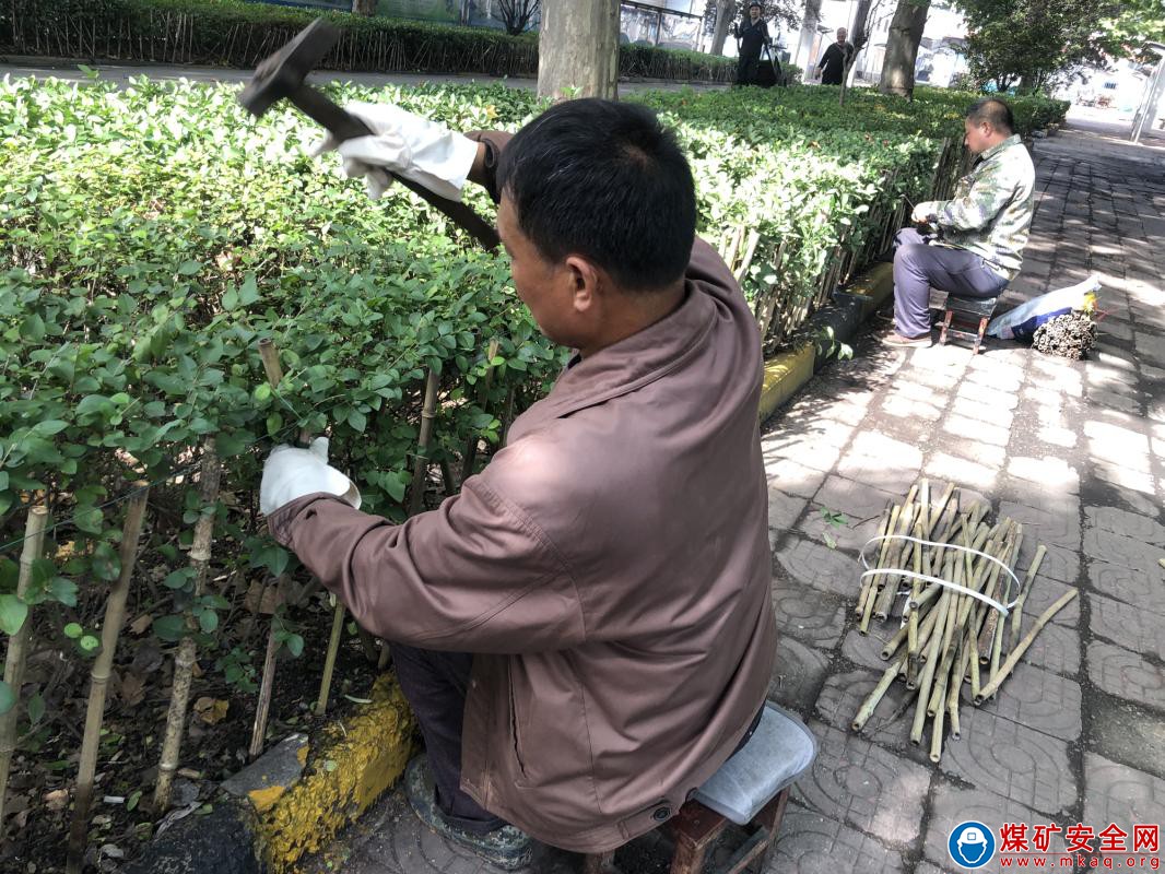河南能源義煤公司石壕煤礦：加強綠化養護 美化礦區景觀