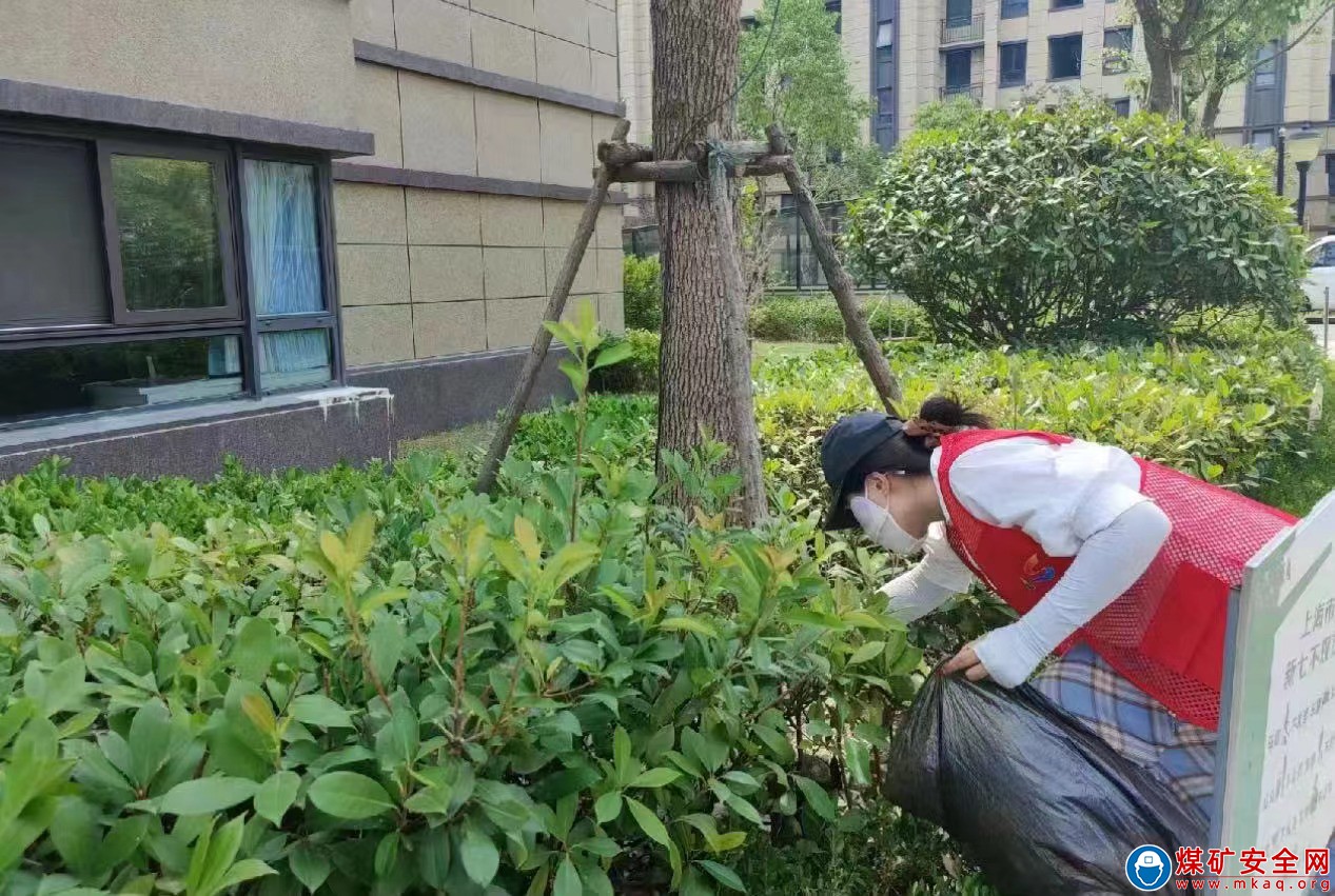 綠動心弦，繪夢同行——經濟管理學院“OK隊”實踐團赴山東省聊城市李太屯社區開展“返家鄉”社會實踐活動